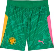 Fcsp GK Shorts