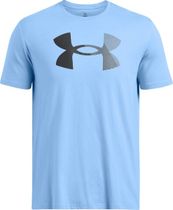 BIG Logo Fill SS