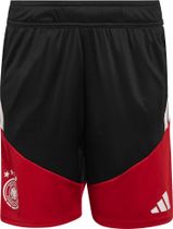 adidas Germany 26 Tiro Training Kids Shorts