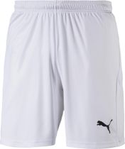 Liga Shorts Core