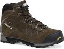 Dolomite Shoe Zernez GTX Herren Wanderschuhe