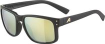 Alpina Kosmic Bike Eyewear
