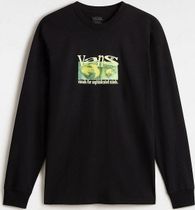 Visual Minds LS