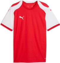 Puma teamFINAL26 Knit Jersey Herren T-Shirt für sämtliche Outdoor Aktivitäten