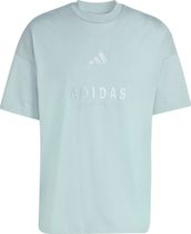 adidas ALL SZN Embroidered Graphics T-shirt