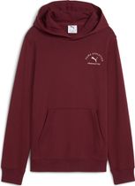 Puma Class Graphic Hoodie TR B