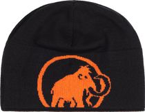 Logo Beanie
