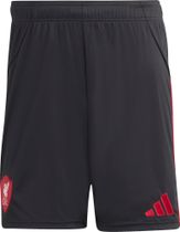 adidas Liverpool FC 25/26 Away Shorts