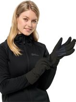 Alpspitze Merino Glove
