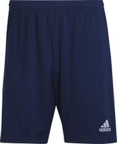 Entrada 22 Training Shorts