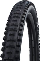 Schwalbe BIG Betty Performance Line DD TLE