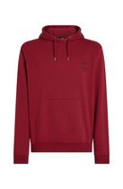 O'Neill Must-have Hoodie