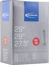 SV19