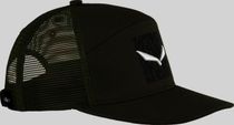 Pure Salamander Logo M Cap
