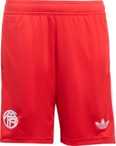 adidas FC Bayern 2025/2026 Third Goalkeeper Shorts Kids