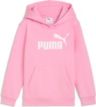 Essentials No. 1 Logo Hoodie FL PS