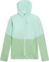 Icebreaker Women Merino Blend 200 Realfleece Descender Long Sleeve Zip Hoodie