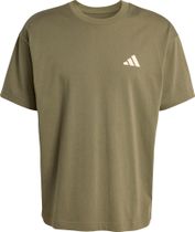 adidas Terrex ACT Natural Graphic T-shirt