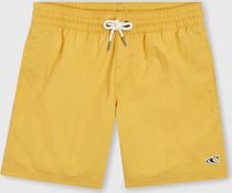 Vert 14" Swim Shorts
