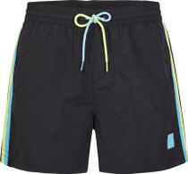 Vert Retro 14'' Swim Shorts
