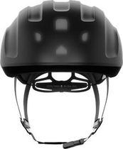 Ventral Tempus Mips