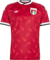 adidas United Arab Emirates 26 Away Jersey