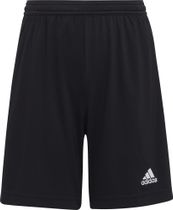 Entrada 22 Shorts