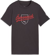 Puma öfb Ftblculture Tee Jr