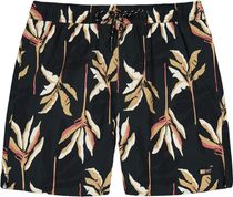 Barts Fervis Shorts