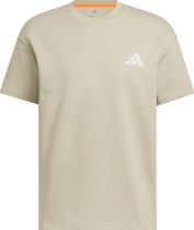 adidas Terrex Xploric Graphic T-shirt Herren T-Shirt für sämtliche Outdoor Aktivitäten