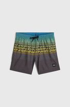 O'neill Logo Stripe Swimshorts