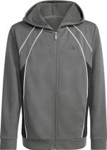 adidas Color Block Fullzip Hoodie