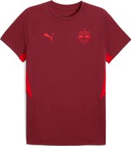Puma RBS Evostripe Tee Men's Running Shirt