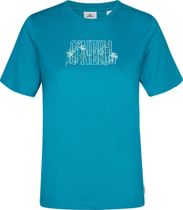 O'neill Graphic T-shirt