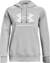 Rival Fleece Big Logo Hoody