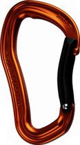 Electron Bent Gate