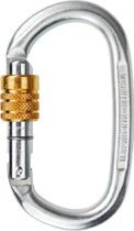 Steel Oval Screw
