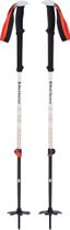 Expedition 2 Ski Poles