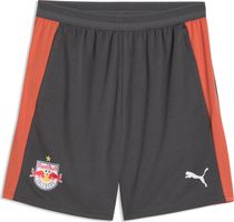 Puma RBS Training Shorts w Pockets Outdoor Shorts für Herren
