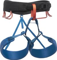 M Momentum Harness