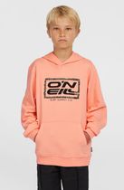 O'neill Logo Hoodie