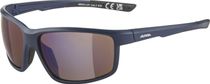 Alpina Defey Bike Brille