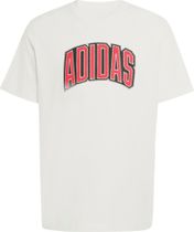 adidas Stadium Collegiate Graphic T-shirt
