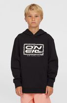 O'neill Logo Hoodie
