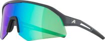 Sonic HR Q-lite