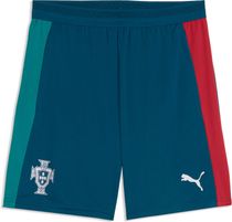 Puma FPF Training Shorts w/ Pockets Herren Laufshorts