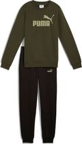 Essentials No.1 Logo Crew Sweat Suit FL B
