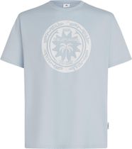 O'Neill O'neill Musthave Graphic T-shirt Men's T-shirt for any outdoor activities