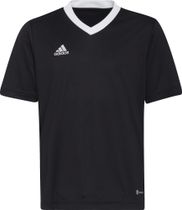 Entrada 22 Jersey