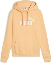 Essentials No. 1 Logo Hoodie FL (s)
